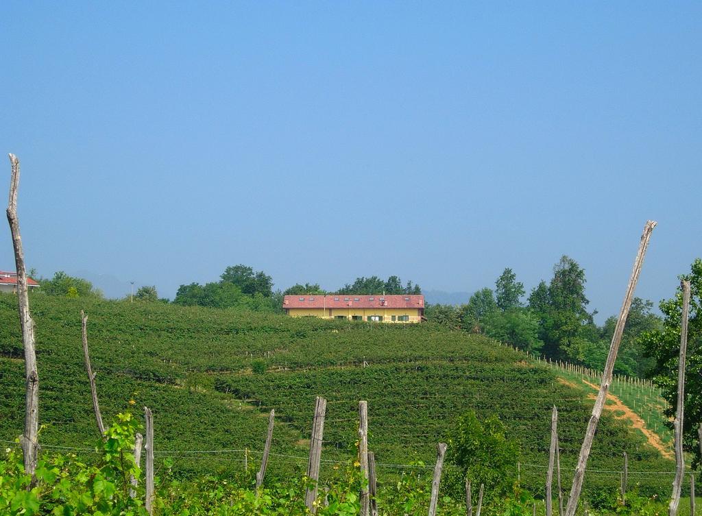 Agriturismo Turina Bricherasio 외부 사진