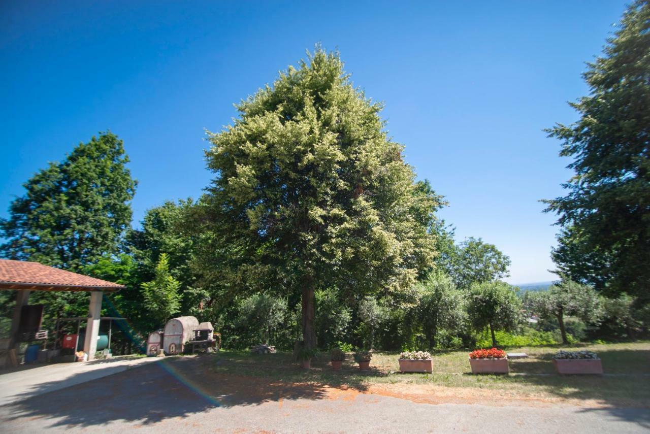 Agriturismo Turina Bricherasio 외부 사진