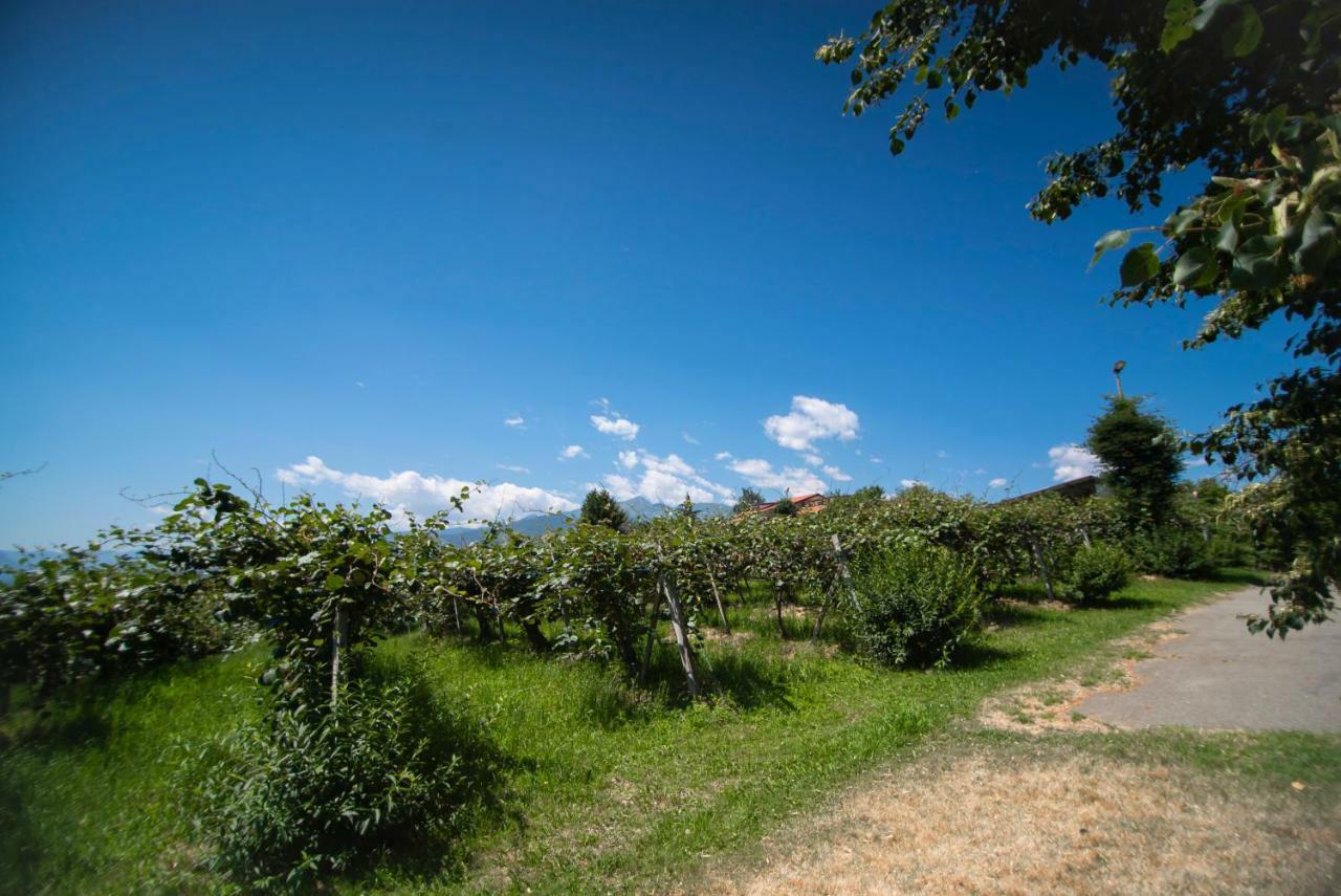 Agriturismo Turina Bricherasio 외부 사진